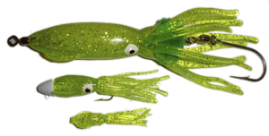 Squid