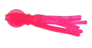 6-pack of Mini B2 Squid bodies