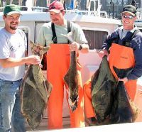 Halibut caught with B2 Squid