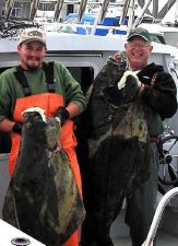 Gino Wollman, Gordon Birdsall - Halibut
