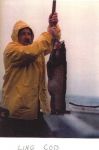 Capt. Brown - Ling Cod