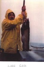 Capt. Brown - Ling Cod