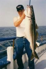 47 pound pollock
