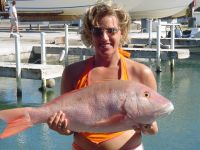 15 pound Mutton Snapper