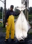 John Parker-345 lb. halibut