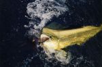 Caught with a B-2 Squid